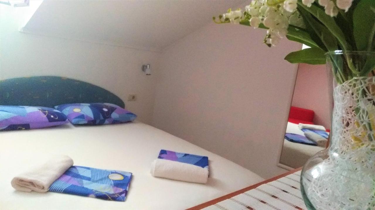 Apartment Antun *